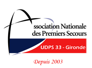 UDPS 33